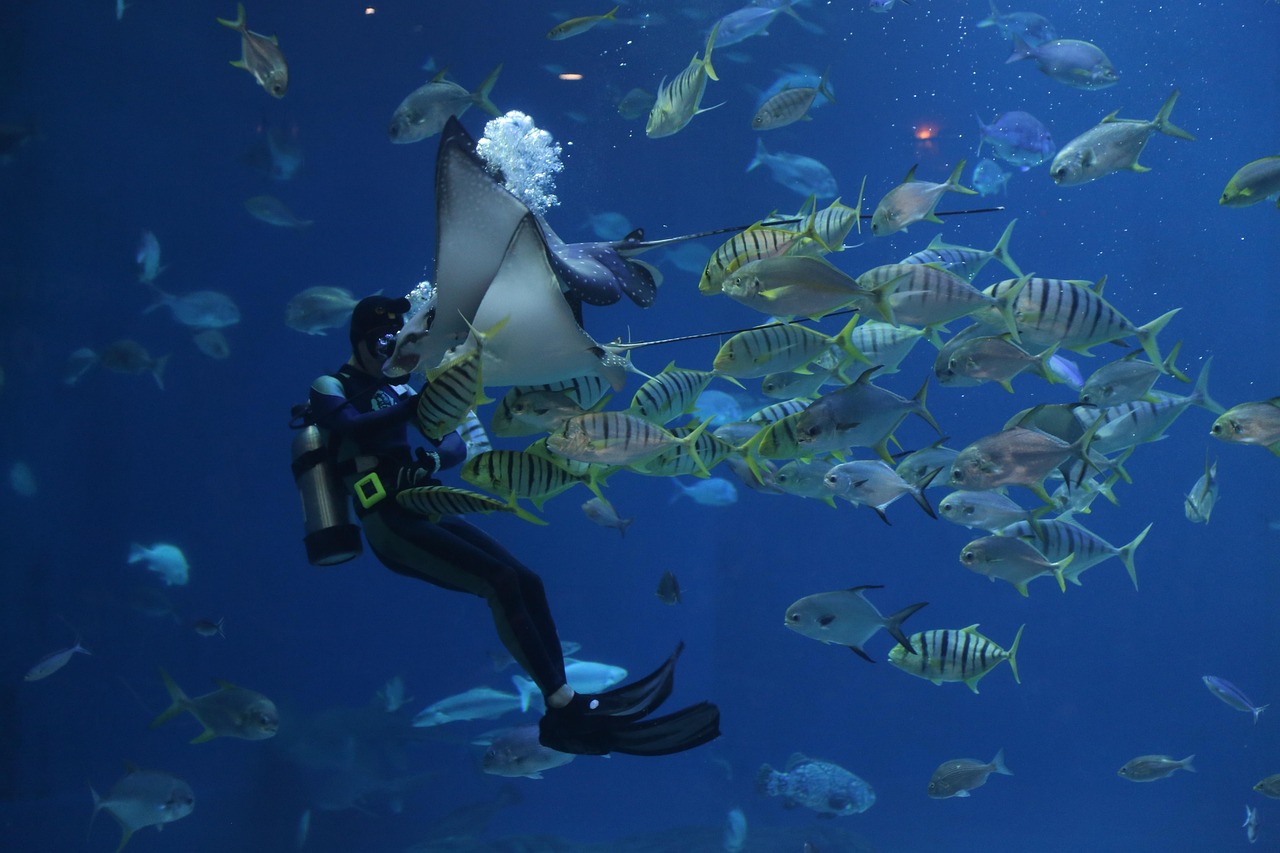 Aquarium at the Boardwalk